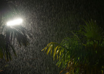 В Сочи ожидаются дождь и гроза с вечера 22 декабря