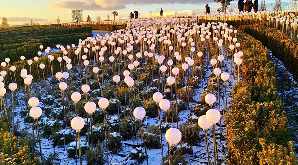 В парке Галицкого в Краснодаре на одну светящуюся локацию стало больше