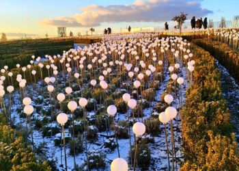 В парке Галицкого в Краснодаре на одну светящуюся локацию стало больше