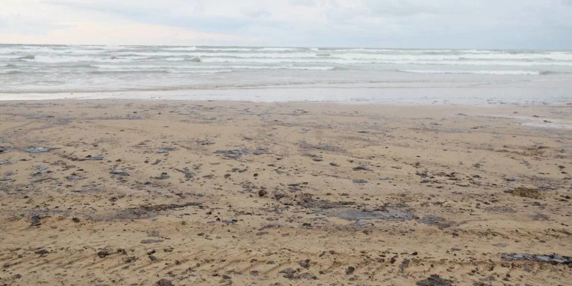 Кондратьев ввел режим ЧС из-за разлива мазута в Краснодарском крае