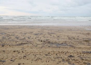 Кондратьев ввел режим ЧС из-за разлива мазута в Краснодарском крае