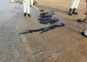 На Кубани продолжат очищать побережье 31 декабря и 1 января