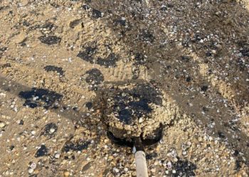 До Крыма добрался мазут