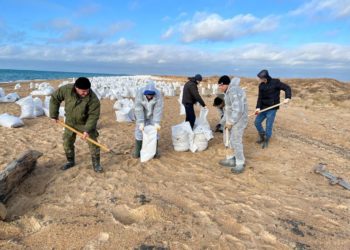 С пляжей на Кубани вывезли более 70 тысяч тонн загрязненного мазутом песка