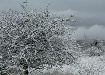 Синоптики обновили прогноз на ближайшие выходные в Краснодарском крае