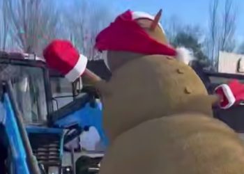 На пляж в Анапе привезли новогоднего Песковика