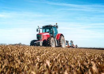 В Краснодарском крае более 31 тыс. га земли перевели в статус сельхозназначения