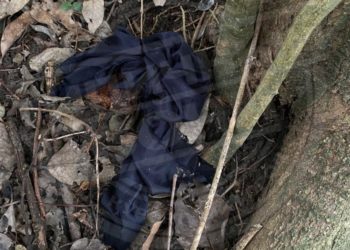 В Сочи жители микрорайона Кудепста обеспокоены мистическими событиями