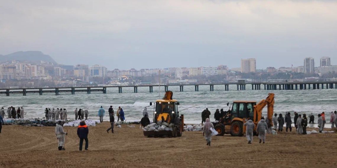 Кондратьев: с пляжей на Кубани убрали более 12 тысяч тонн загрязненного грунта