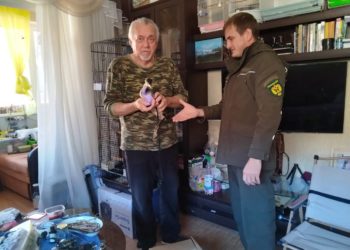 Четырех чомг, пострадавших от разлива нефтепродуктов, обнаружили в Сочи