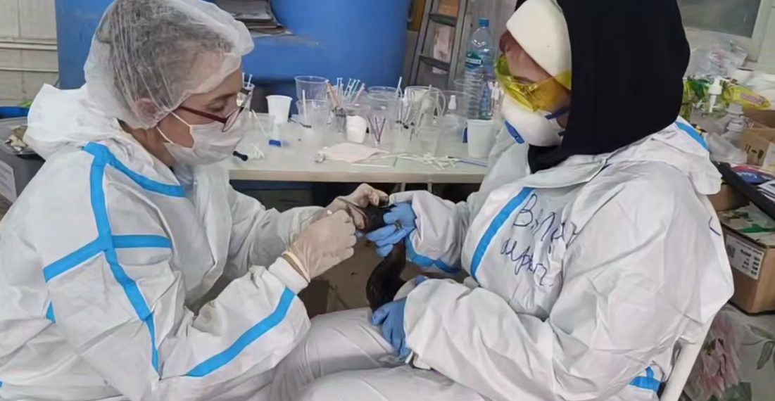 В Анапе и Темрюкском районе Кубани спасли почти 1700 птиц