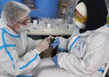 В Анапе и Темрюкском районе Кубани спасли почти 1700 птиц