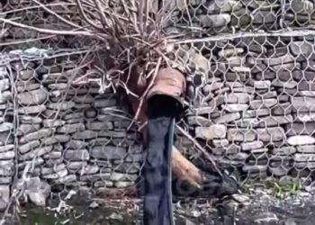 В реку в Сочи сливали неизвестную черную жидкость