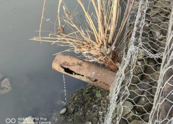 Прокуратура проводит проверку по факту сброса черной жидкости в реку в Сочи