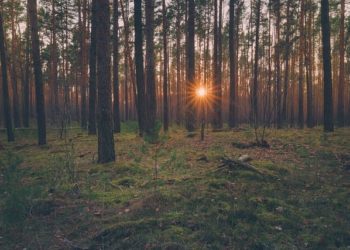 В Новороссийске создан новый государственный природный заказник «Хребет Семисам»