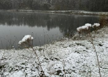 Прогноз погоды на понедельник 30 декабря на Кубани: дожди, снег и туман