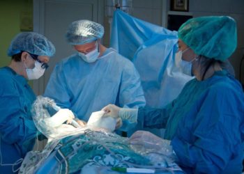 В Краснодаре спасли ногу ребенку, попавшему в ДТП в Херсонской области