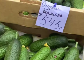 На Кубани нашли огурцы за 545 рублей