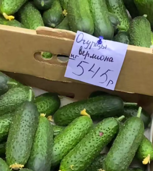 На Кубани нашли огурцы за 545 рублей