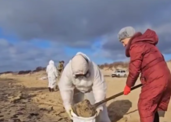 В Анапе пляж от мазута убирает 82-летняя бабушка, а ты лежишь на диване