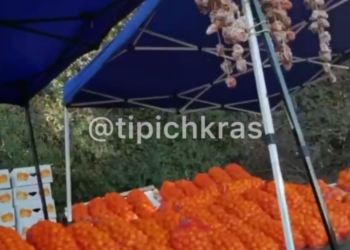 На трассах Краснодарского края обосновались мандариновые мошенники