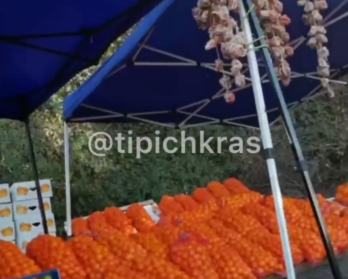 На трассах Краснодарского края обосновались мандариновые мошенники