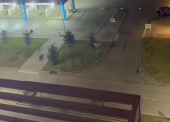 В Краснодаре жителям Западного обхода мешает спать лай собак