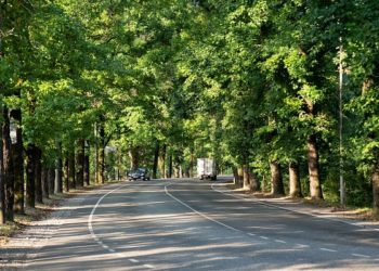 В Сочи изменится схема движения на ключевых дорожных участках