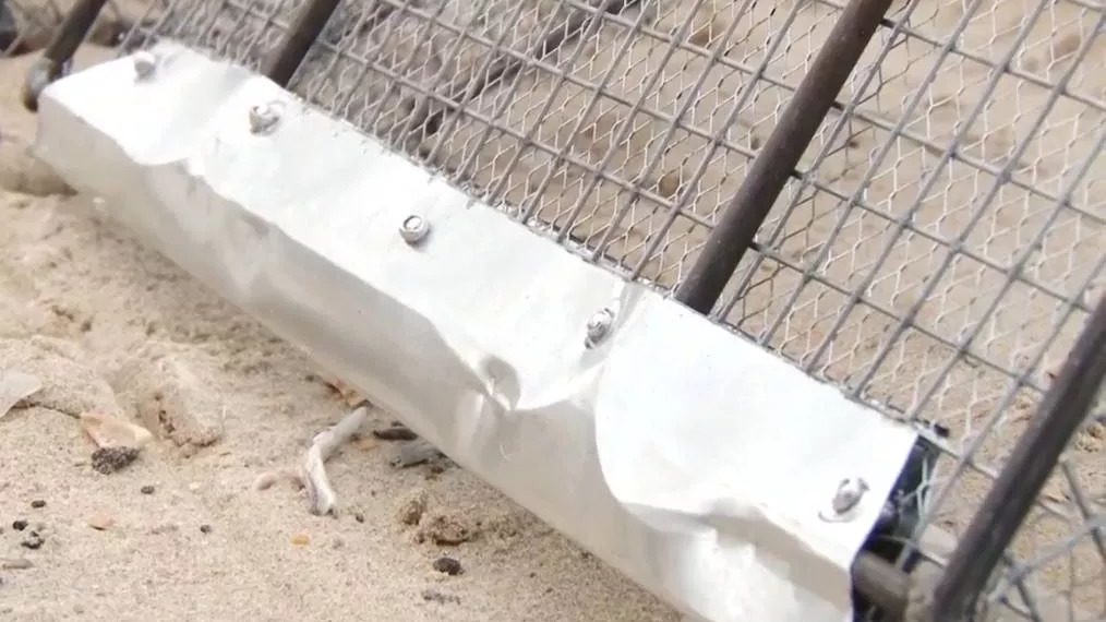 В Анапе разработали уникальные лопаты для очистки пляжей от мазута