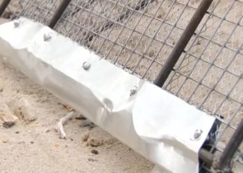 В Анапе разработали уникальные лопаты для очистки пляжей от мазута