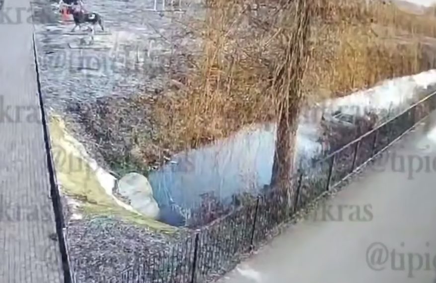 Момент падения авто в водоем в Краснодарском крае попал на видео