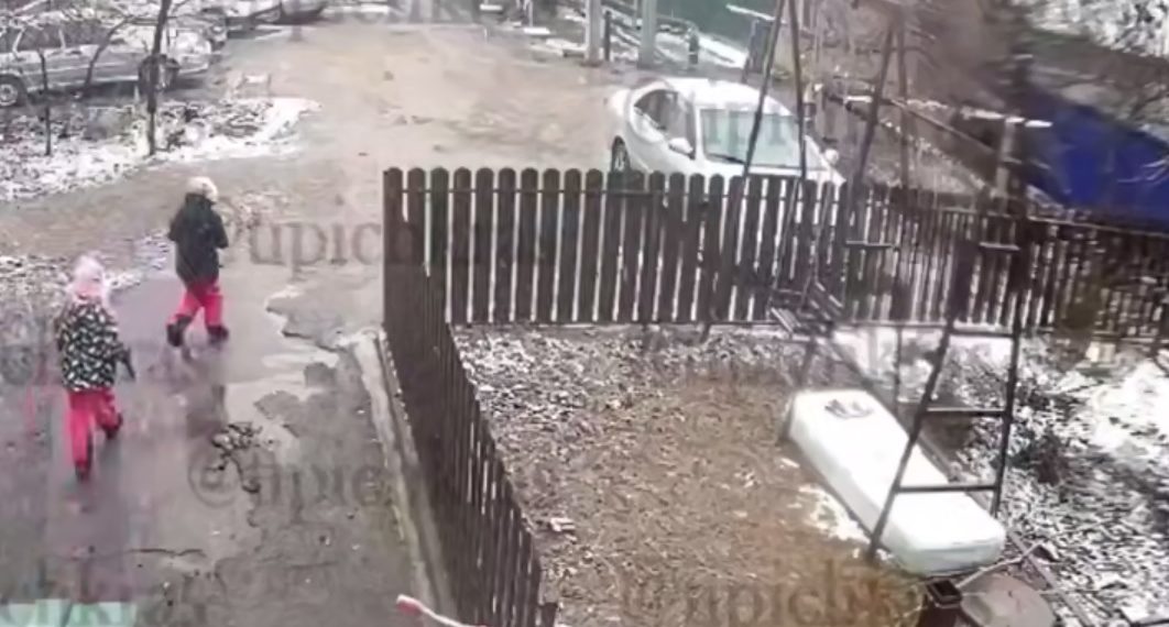 В Краснодарском крае две девочки швыряли котенка об стену