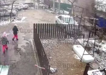 В Краснодарском крае две девочки швыряли котенка об стену