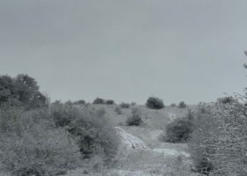 Погода точно сойдет с ума во вторник 14 января в Краснодарском крае