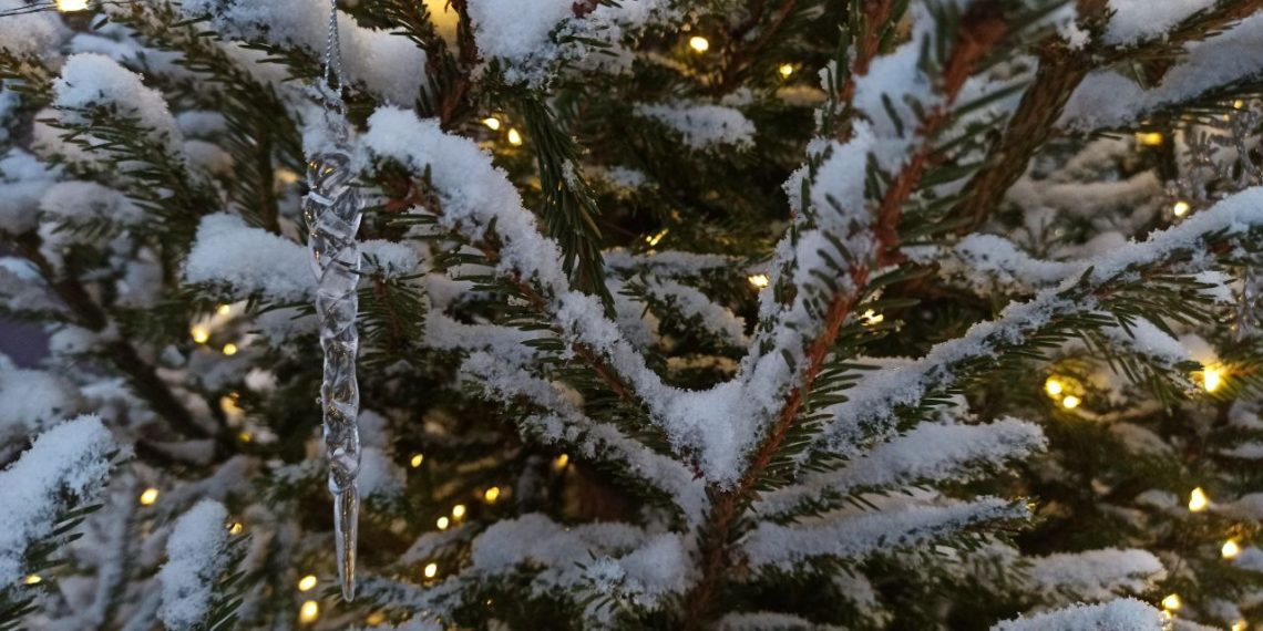 Прогноз погоды на неделю с 20 по 26 января 2025 года в Краснодарском крае