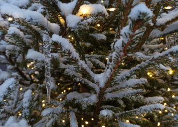 Прогноз погоды на неделю с 20 по 26 января 2025 года в Краснодарском крае