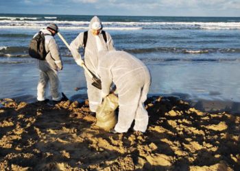 41 муниципалитет Кубани возобновил работы по очистке анапских  пляжей от мазута