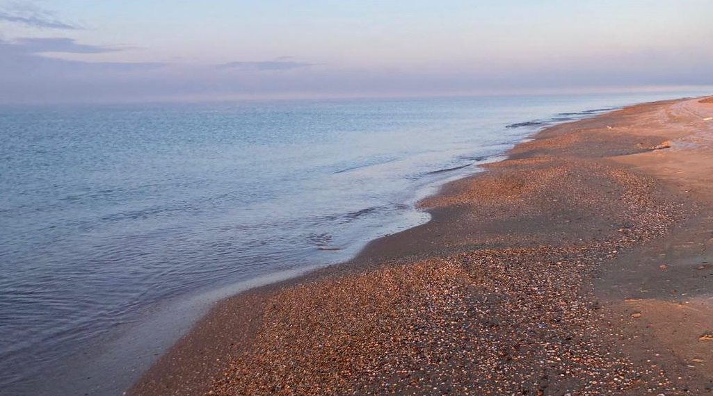 На Кубани не зафиксировали новых выбросов мазута 16 января