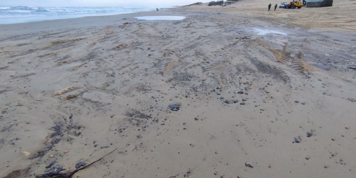 С пляжей Краснодарского края вывезли 289 тонн отходов 17 января