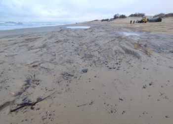 С пляжей Краснодарского края вывезли 289 тонн отходов 17 января