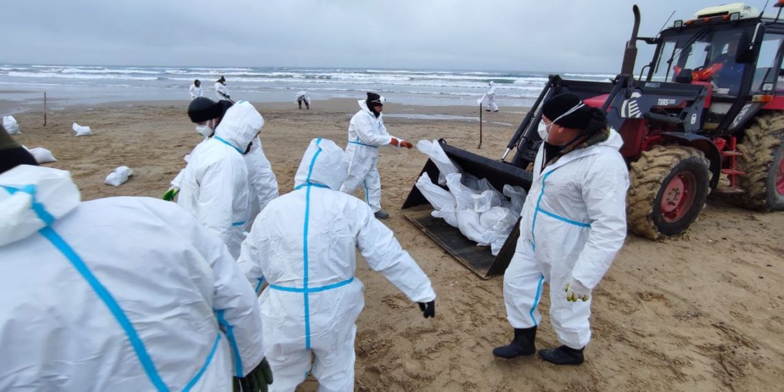 На Кубани нашли незначительные повторные выбросы мазута