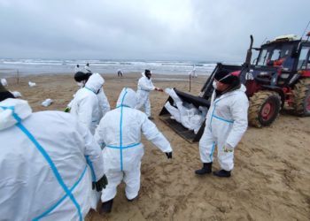 На Кубани нашли незначительные повторные выбросы мазута