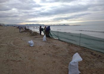 В Краснодарском крае вывезли более 102 тысяч тонн загрязненного песка и грунта