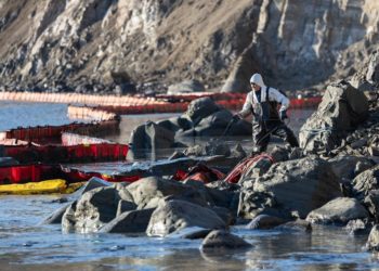 В Краснодарском крае собрали 175 тысяч тонн загрязненного мазутом песка и грунта