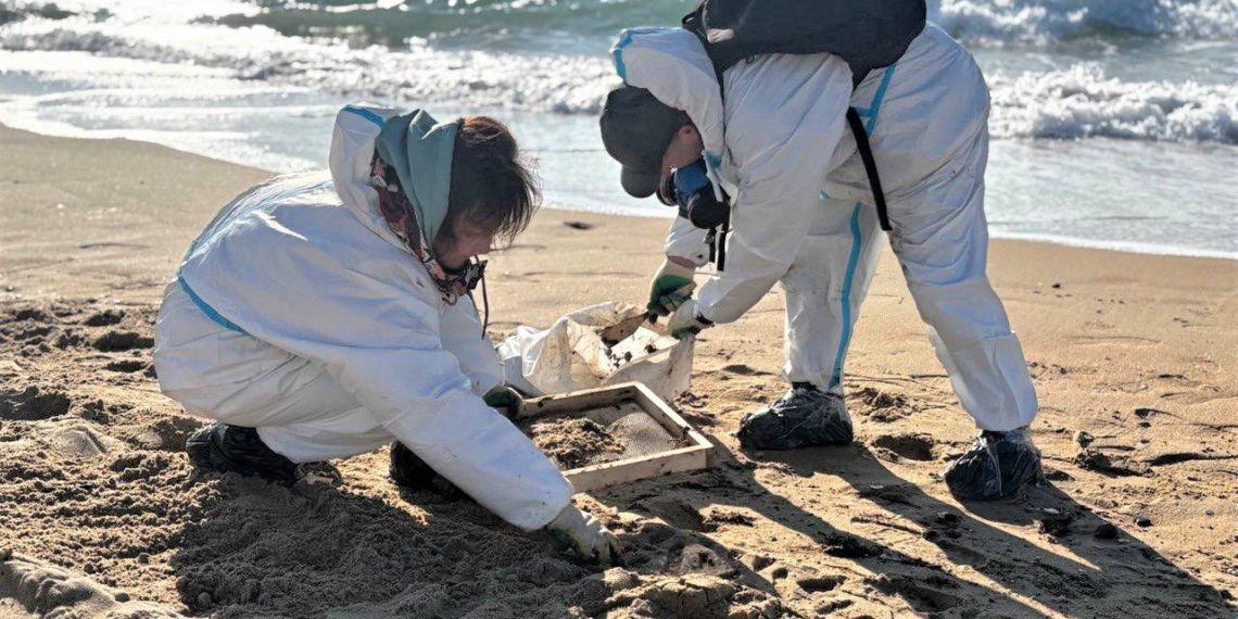 В Краснодарском крае зафиксировали новые выбросы мазута