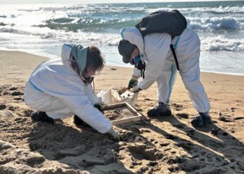 В Краснодарском крае зафиксировали новые выбросы мазута