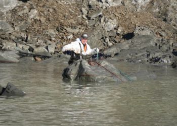 С побережья Краснодарского края вывезли 176 тысяч тонн загрязненного грунта