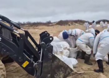 В Крыму и Краснодарском крае собрали более 86 тонн загрязненного грунта