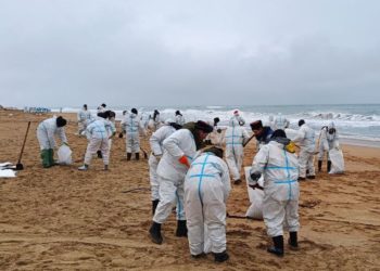 Оперштаб Кубани: колл-центр «Спасай море» 18 января принял 28 звонков