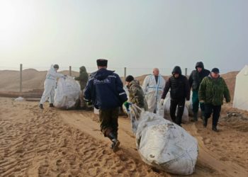 Туристы: Радует, что в Анапе птицы летают над морем